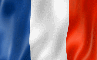 French Flag Gif